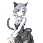  animal_ears cat_ears cat_tail green_eyes luna_(gunfire) military military_uniform necktie pantyhose sanya_v_litvyak short_hair silver_hair skirt solo strike_witches tail uniform world_witches_series 