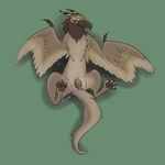  4_toes anus avian blush claws digitigrade female feral gryphon hindpaw lying nude on_back paws presenting psy101 pussy simple_background soles solo spread_legs spreading tan_feathers wings 