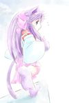  animal_ears cat_ears cat_tail eternal_melody jason_(kaiten_kussaku_kikou) kurenai_wakaba long_hair purple_hair solo tail 