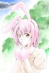  animal_ears bunny_ears charat_sieles eternal_melody green_eyes jason_(kaiten_kussaku_kikou) pink_hair short_hair smile solo 