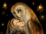  barn_owl eglantine feral gabriellegrotte guardians_of_ga&#039;hoole guardians_of_ga'hoole owl soren 