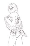 breasts female firenze nude owl snowy_owl solo 