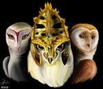  avian barn_owl feral gabriellegrotte guardians_of_ga&#039;hoole guardians_of_ga'hoole nyra owl snowy_owl soren 