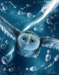  avian barn_owl cool_colors feral flying gabriellegrotte guardians_of_ga'hoole looking_at_viewer owl rain solo soren 