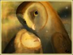  avian barn_owl eglantine female feral gabriellegrotte guardians_of_ga&#039;hoole guardians_of_ga'hoole hi_res male owl soren 