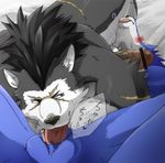  anthro balls blush canine censored debirobu duga duo erection fellatio fur gay hair japanese_text male mammal muzzle oral oral_sex penis rouen scar sex shining_(series) shining_tears shining_wind spread_legs spreading text tongue tongue_out vein veins video_games volg wolf 