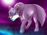  canine detailed_background ear_piercing female feral fur hair hair_covering_eyes hair_over_eye mammal necklace piercing pink pink_fur pink_hair pink_theme ring roxy solo wolf wolflady 