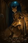  alectorfencer canine cloak fox indoor lantern male mammal melee_weapon night riffuchs solo sword weapon 