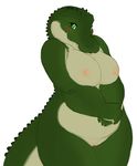  alligator big_breasts blush breasts chubby color female fgs green_eyes looking_at_viewer nipples nostrils nude plain_background pussy reptile ridges scalie sefeiren solo white_background 