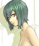  close-up closed_mouth face green_eyes green_hair k+ nude original out-of-frame_censoring short_hair solo upper_body 