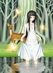  animal bad_id bad_pixiv_id black_hair bug butterfly deer dress forest grass insect k+ long_hair nature original red_eyes ripples skirt_hold solo tree wading water white_dress 