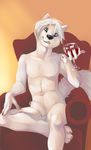  anthro arctic_wolf balls beverage black_nose blue_eyes canine chair claws demicoeur fur glass hair hand_on_leg heartwood holding male mammal nude penis pose rape_face short_hair sitting solo spread_legs spreading uncut white white_body white_fur white_hair wine wolf 