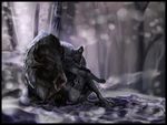  bovine buffalo canine frost lying mammal nude sitting snow snow-wolf winter wolf 