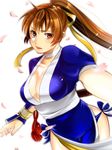  breasts brown_eyes brown_hair cherry_blossoms cleavage dead_or_alive fingerless_gloves gloves japanese_clothes kasumi_(doa) large_breasts lips long_hair ninja pelvic_curtain petals ponytail sakichi smile solo 
