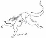  anus canine female feral horn mammal pussy sketch sketchkat solo 