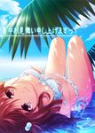  ainili bad_id bad_pixiv_id bikini brown_hair closed_eyes cloud day frilled_bikini frills front-tie_top hair_bobbles hair_ornament looking_at_viewer lying on_back original palm_tree partially_submerged red_eyes shochuumimai side-tie_bikini sky smile solo swimsuit translated tree water 