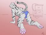  anthro back balls biceps black_fur blue_eyes bulge butt claws clenched_teeth feline foot_focus fur grin hindpaw ill_dingo inviting looking_at_viewer looking_back male mammal muscles panties pawpads paws presenting presenting_hindquarters raised_tail solo teeth tiger tsaiwolf underwear white_tiger 