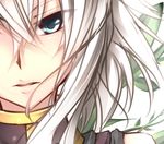  bare_shoulders blue_eyes blush close-up duel_monster eyes_visible_through_hair face hair_between_eyes leaf lips long_hair looking_at_viewer milla_the_temporal_magician parted_lips shintani_tsushiya simple_background sleeveless solo tsurime white_background white_hair yuu-gi-ou 