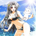  bikini blush braid breasts cat cleavage cloud collarbone day grey_hair groin hair_ornament hei_meiling large_breasts long_hair m.u.g.e.n nanatsuki_(arca-nize) navel ocean open_mouth original red_eyes sky solo star sun swimsuit touhou twin_braids very_long_hair 