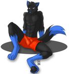  alpha_channel biceps black_fur blue_fur boxers bulge canine clothing dog fur male mammal muscles paws pecs plain_background purple_eyes sapphwolf sapphwolf_(artist) sapphwolf_(character) sitting solo topless transparent_background underwear 