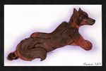  banrai brown brown_fur canine claws dog fur german_shepherd gsd hindpaw m/solo male mammal pawpads paws shepherd solo tan 