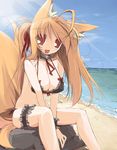  ahoge animal_ears bad_id bad_pixiv_id beach bikini bow brown_hair day endou_chihiro fang fox_ears fox_tail frills highres kuu_(endou_chihiro) leg_garter long_hair original red_eyes rock sitting sitting_on_rock solo swimsuit tail twintails 