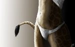  clothing edit female giraffe mammal photo_manipulation underwear undressing unknown_artist 