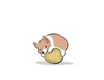  canine cantaloupe corgi cute dog hug mammal melon plain_background solo thewondercat white_background 
