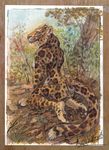  evilkitty3 feline female jaguar kneeling looking_at_viewer mammal nude solo 
