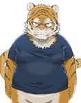  clothed clothing feline half-dressed male mammal overweight plain_background shirotama solo tiger unimpressed white_background zangoose_(artist) 