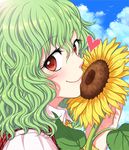  animal ascot bird cloud day flower green_hair heart kazami_yuuka mokku red_eyes short_hair sky smile solo sunflower touhou wavy_hair 