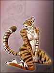  feline female kaylii kneeling mammal nude solo tiger 