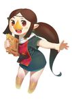  beak blush brown_hair highres inuki_(aruurara) long_hair medli open_mouth pointy_ears ponytail red_eyes rito smile solo the_legend_of_zelda the_legend_of_zelda:_the_wind_waker 