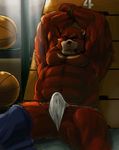  anthro armpits arms_above_head basketball bdsm bear biceps blood bondage bound brown_fur bulge erection fundoshi fur grizzly_bear hands_above_head imminent_rape juuichi juuichi_mikazuki male mammal morenatsu muscles nipples pecs penis rope sitting solo sweat tetsuo_oshiba topless underwear 