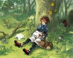  bag brown_hair closed_eyes cottonee drawr eevee foongus forest gen_1_pokemon gen_5_pokemon grass jacket joltik kyouhei_(pokemon) nature open_mouth plant pokemon pokemon_(creature) pokemon_(game) pokemon_bw2 raglan_sleeves robo7 shorts sitting sleeping tree venipede visor_cap 