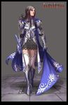  anima armor highres long_hair paladin solo sword thighhighs weapon wen-m 
