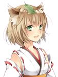  animal_ears bad_id bad_pixiv_id blush brown_hair collarbone fang green_eyes japanese_clothes leaf leaf_on_head miko open_mouth original shabon solo white_background 