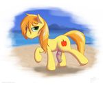  braeburn_(mlp) cutie_mark equine feral flaccid friendship_is_magic hi_res horse male mammal my_little_pony penis pony seaside skipsy solo wet 