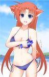  animal_ears arf beach bikini blue_eyes blush breasts chelsea_masa cleavage day dog_ears dog_tail fang forehead_jewel front-tie_top holding large_breasts long_hair lyrical_nanoha mahou_shoujo_lyrical_nanoha mahou_shoujo_lyrical_nanoha_a's navel red_hair side-tie_bikini smile solo swimsuit tail 