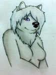  anthro anthrofied breasts canine female fur lilly lilly_(alpha_and_omega) mammal purple_eyes violet white_chest white_fur white_wolf wolf 