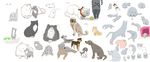  bad_id bad_pixiv_id cat copyright_request dog highres in_palm kitten misono neck_ribbon no_humans puppy ribbon tissue tissue_box 