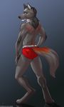  anthro back_turned barefoot biceps black_nose canine clothing detailed digitigrade ear_piercing from_behind fur gradient_background green_eyes grey_background grey_fur hand_on_hip hindpaw looking_at_viewer looking_back male mammal muscles panties pawpads paws piercing pinup plain_background pose reflection satsukii solo standing tattoo thundergrey topless underwear wolf 