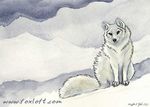  ambiguous_gender arctic_fox canine feral fox foxfeather fur mammal outside snow solo white_fur white_theme winter 