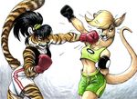  blonde_hair boxing clothing duo feline female hair kangaroo knockout mammal marsupial megan_giles plain_background scrunchie shorts sweat tiger white_background 