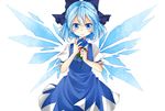  bad_id bad_pixiv_id blue_eyes blue_flower blue_hair blue_rose blush_stickers bow cirno flower hair_bow highres ice ice_wings o0baijin0o puffy_sleeves rose short_sleeves slit_pupils smile solo touhou wings 