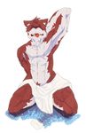  abstract_background armpits body_hair canine chest chest_tuft clothing fox fur happy_trail kukku male mammal muscles open_mouth plain_background shirt solo sweat tongue tongue_out topless tuft undressing water white_background 