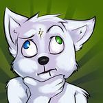  &lt;_&gt; abstract_background ambiguous_gender anthro black_nose canine derp drooling fur green_background heterochromia ivybeth mammal plain_background saliva solo thinking wall_eyed what white_fur wolf 