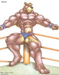  anthro balls bear biceps big_muscles big_penis braford clothed clothing erection fighting_ring fur grey_eyes half-dressed huge_muscles male mammal muscles nipples pecs penis pose ron_(braford) solo thong topless uncut underwear vein veins wrestling 