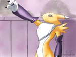  blue_eyes bridal_gauntlets canine chest_tuft digimon female fox fur looking_up mammal reaching renadrawer renamon solo standing tuft white_fur yellow_fur 