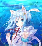  :o animal_ears blue_eyes blue_hair bubble cat_ears cat_tail mint_(yano_mitsuki) original red_ribbon ribbon short_hair solo tail underwater upper_body yano_mitsuki 
